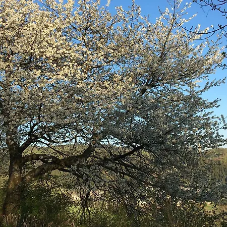 Apartment Zur Basemicke