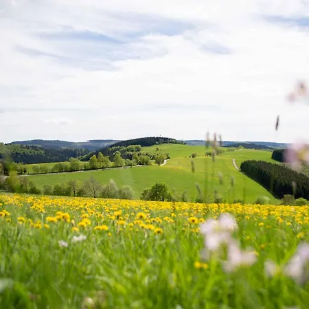 Apartment Zur Basemicke Schmallenberg