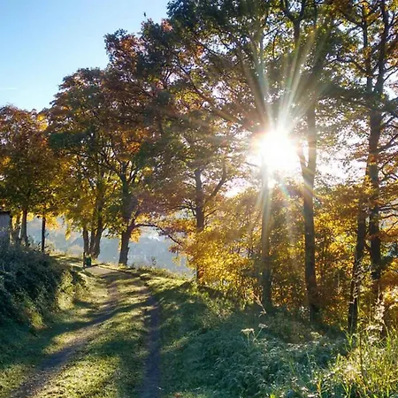 Zur Basemicke Apartment