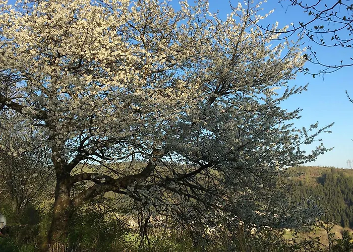 Apartment Zur Basemicke