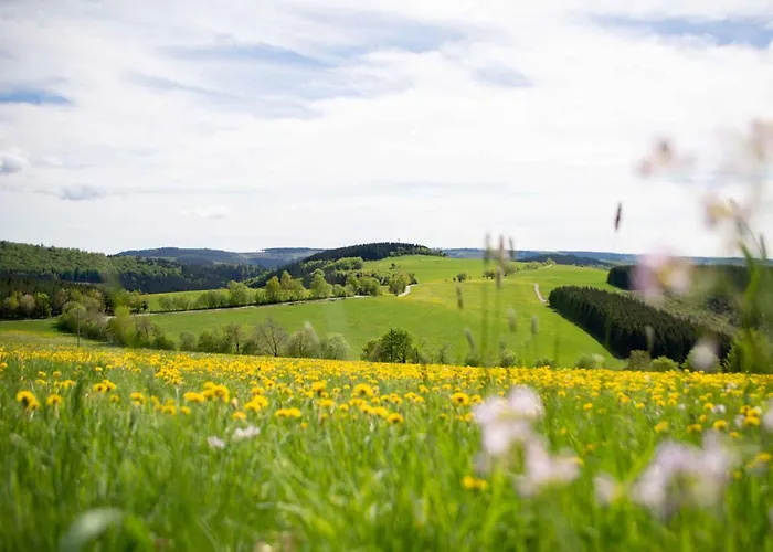Apartment Zur Basemicke Schmallenberg